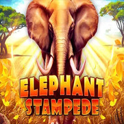 Elephant Stampede